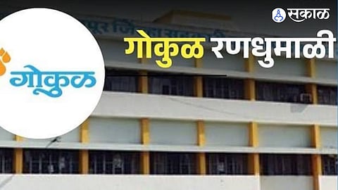 Gokul Dairy Election 2026 Sees 12 Former Directors and 11 New Faces Three Former Presidents Contesting in Karveer
