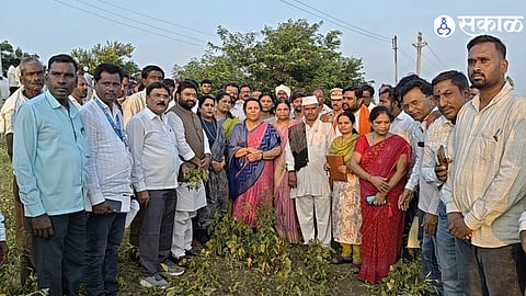Maharashtra Drought Relief Neelam Gorhe Reviews Crop Damage Water Shortage and Fodder Crisis in Udgir Latur District