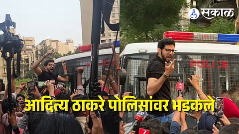 MNS And Shivsena Mumbai Protest