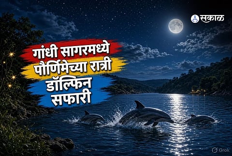 madhya pradesh dolphin safari