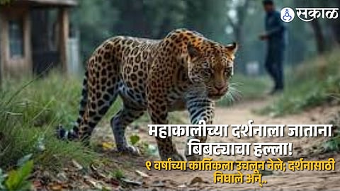 Leopard Attack Near Ballarpur Leaves Nine Year Old Boy Seriously Injured During a Night Walk to Mahakali Temple
