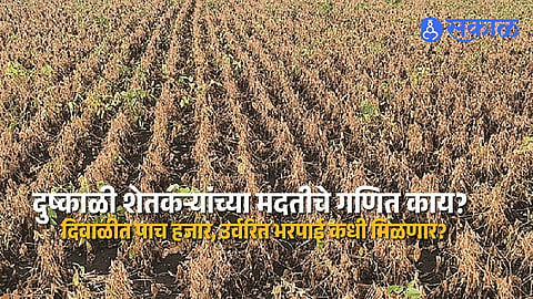 Maharashtra Farmers Compensation News 2026 Drought Relief Delayed as 290 Talukas Await Crop Damage Reports and Two Hectare Aid May Come in December