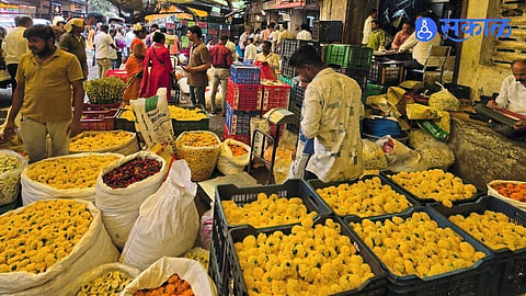 Dussehra Demand Boosts Marigold Arrivals at Pune Gultekdi Market Yard With Wholesale Prices Between 30 and 70 Rupees Per Kg