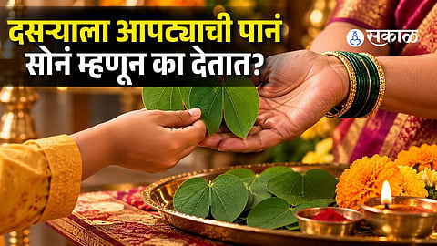 Dussehra Apta Leaves tradition Story