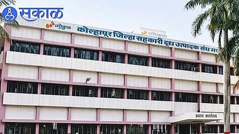 Kolhapur Political News Mahayuti Gets Fewer Votes as Samvichari Alliance Challenges Kore Stronghold in Three Key Constituencies