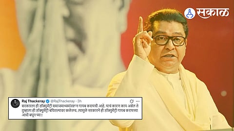 Raj Thackeray On PM Modi and Adani friendship