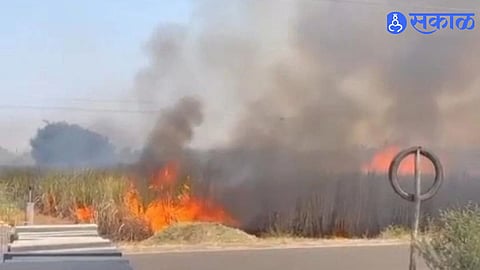 Belgav Farmer Suffers Rs 4.5 Lakh Loss as Sugarcane Field Catches Fire Due to Electrical Distribution Panel Short Circuit