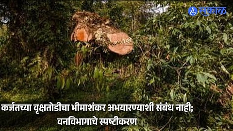 Forest Department Clarifies That Tree Felling Linked to the Proposed Hydropower Project in Karjat Taluka Is Not Connected to Bhimashankar Wildlife Sanctuary.
