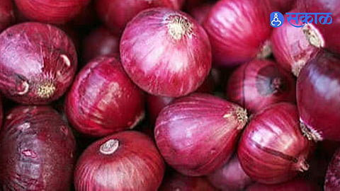 Chakan Market Onion Rates Increase Due to Lower Production as Drought Conditions Leave Maharashtra Farmers Concerned