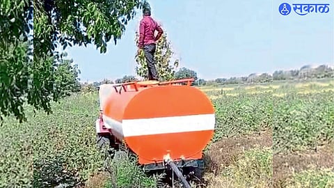 A farmer in Sawali uses purchased tanker water to protect his turmeric crop from drought.