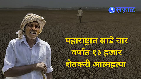 महाराष्ट्रात साडेचार वर्षांत १३ हजारांहून अधिक शेतकरी आत्महत्या; दररोज आठ जणांनी संपवले जीवन