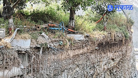 Contractor Negligence on Pashan Sus Road in Pune Raises Tree Safety Concerns as Excavation Work Leaves Roots of Old Trees Exposed