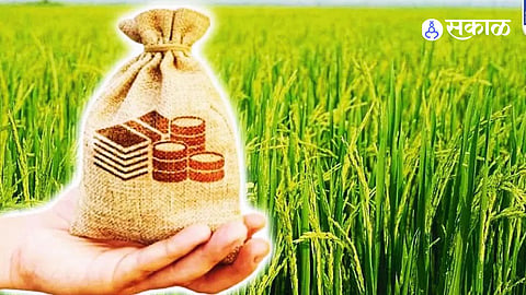 Farmer Relief Maharashtra Government Eases Eligibility Rules for 5000 Rupees Assistance to Farmers Before Diwali Festival