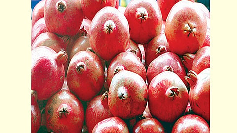 0pomegranate_8.jpg