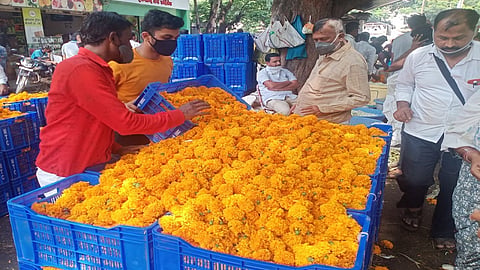 100 to 150 rupees per kg price of marigolds in the market yard