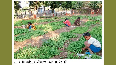 ‘आनंद निकेतन`ने घेतला शिक्षण, ग्रामविकासाचा वसा