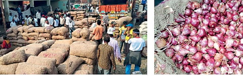 जालना : बाजार समिती येथे कांद्याची मंगळवारी झालेली आवक.