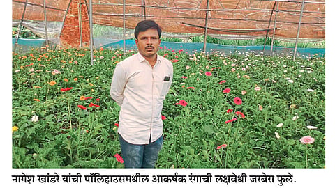 व्यावसायिक पिकांसह ‘हायटेक’ फुलशेतीचा आदर्श