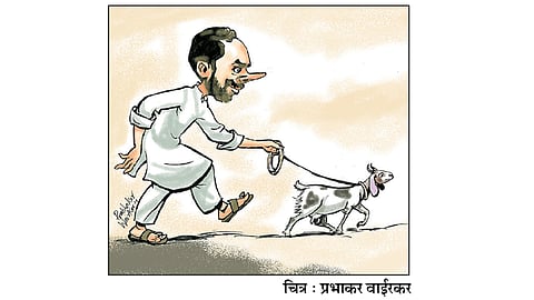 ढिंग टांग : वापसी !