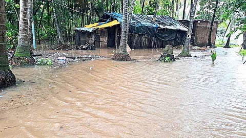 #KonkanRain मसुरेतील खोत जुवा बेटास पाण्याचा वेढा