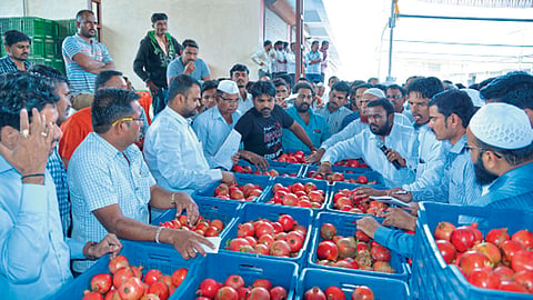 farmers