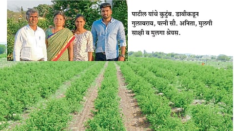 स्वेच्छानिवृत्तीनंतरही प्रयोगशील शेतीचाच ध्यास