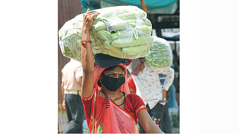 अहमदाबाद - कृषी उत्पन्न बाजार समितीचे काम चार महिन्यांच्या खंडानंतर बुधवारी पुन्हा सुरू झाले.