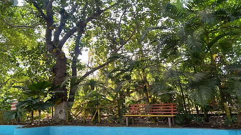 कोरोनाने कृषी पर्यटन देशोधडीला