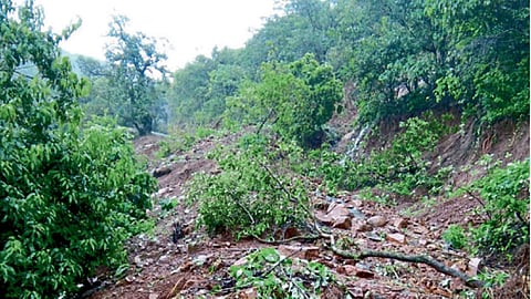भोमाळे