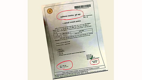 Bogus-Certificate