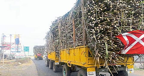 Cane transportation on highways resumes; Demand for reflector force to prevent accidents.jpeg