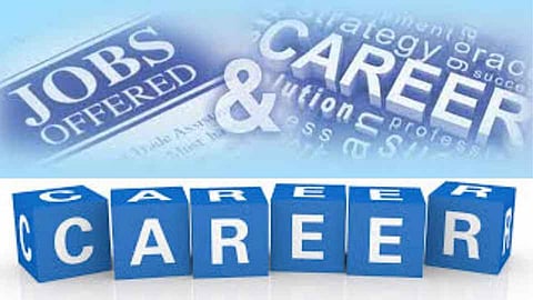 Career