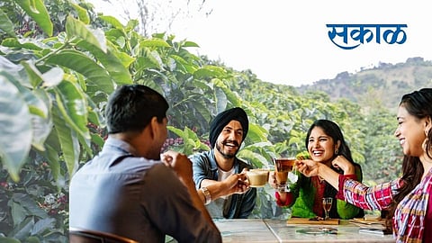 Coffee is widely grown in some states of India.jpg