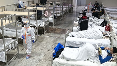 china coronavirus patients tortoise meat food culture social media