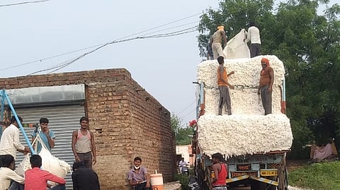 Cotton Purchasing Centre