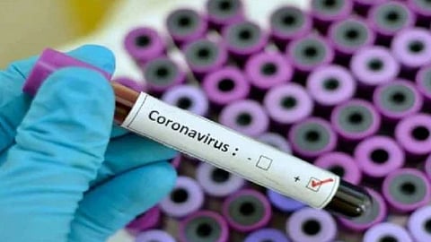 coronavirus seventh positive patient baramati