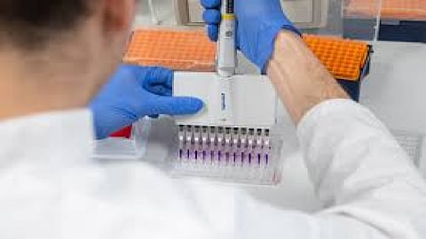 coronavirus, coronavirus burn naturally, Covid 19 vaccine, scientist