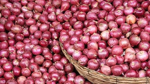 Summer onion