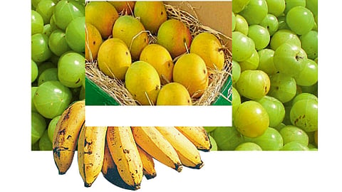 पथ्यापथ्य क्षयरोग
