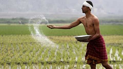 Farmer