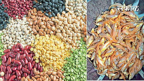 Grains