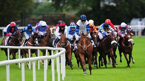 Horse_Races