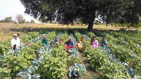 nanded photo