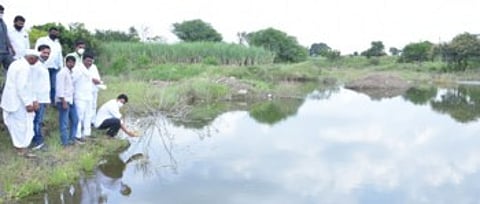 Jalpujan of Zilla Parishad lake at Torkadwadi in Karjat taluka