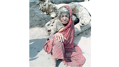 जिजाबाई शिंदे
