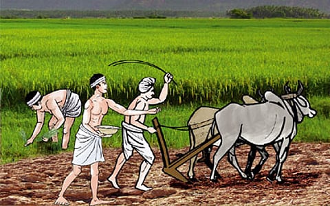 Farmer voting rights