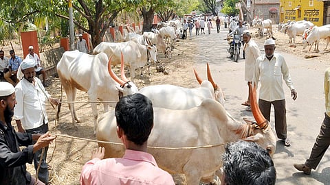 Satara
