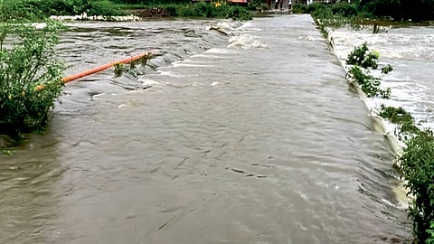 सातारा जिल्ह्यात पावसाचे थैमान; पिकांसह रस्ते पूल गेले वाहून