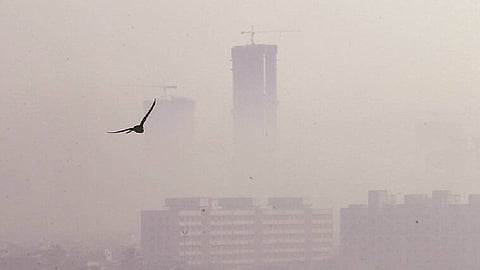 मुंबईची 'धूळ'धाण, भर रस्त्यावर होतंय विषारी पदार्थांचे उत्सर्जन