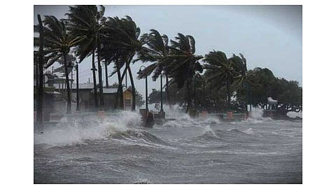 12 Lakhs Damage In Nisarg Cyclone Ratnagiri Marathi News